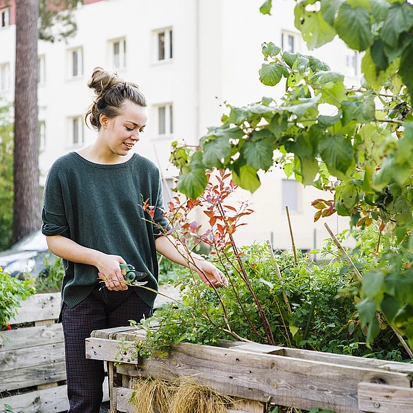 Well-Being, Consumption, Lifestyles Well-Being, Consumption, Lifestyles