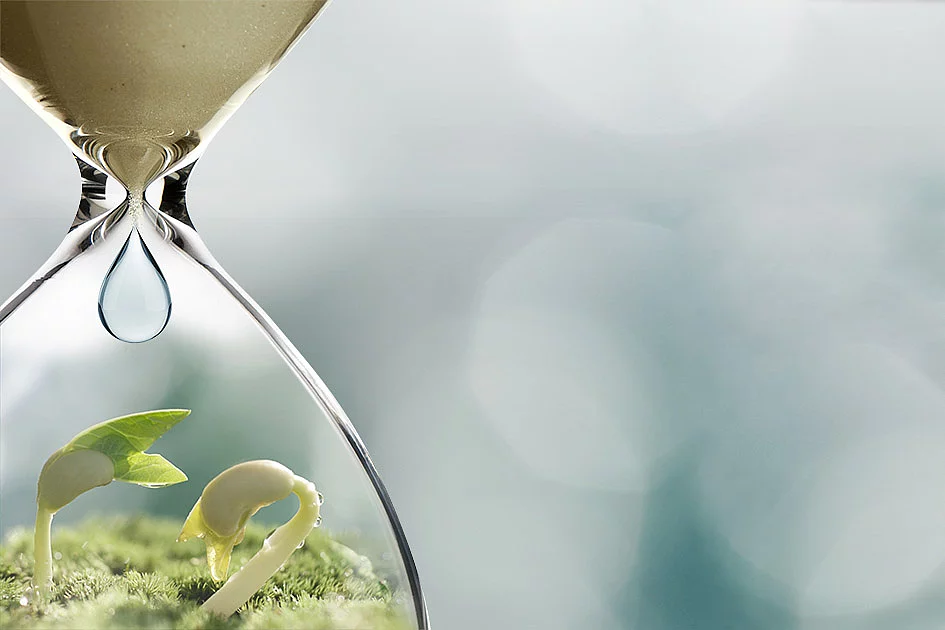 Knowledge for the Great Transformation Transformation to a sustainable society