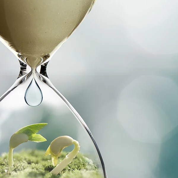 Knowledge for the Transformation Knowledge for the Transformation