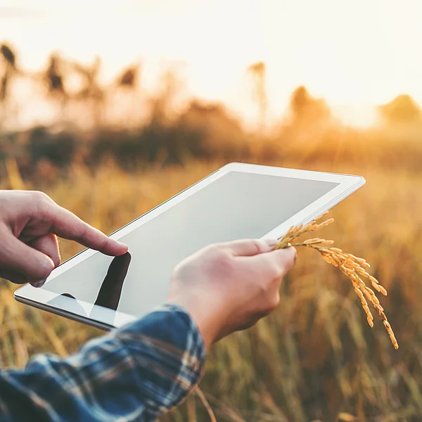 Digital Transformation Digital Transformation